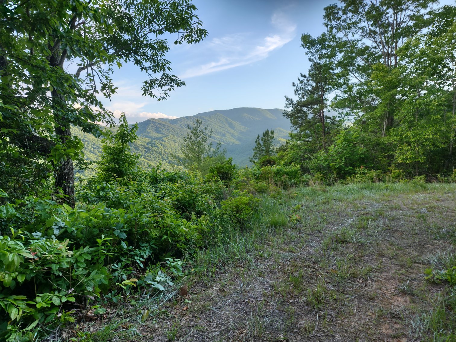 Image for Otto, NC: 10.5± Mountaintop Acres in Heritage Mountain Estates, Otto, NC 28763 (Macon County)