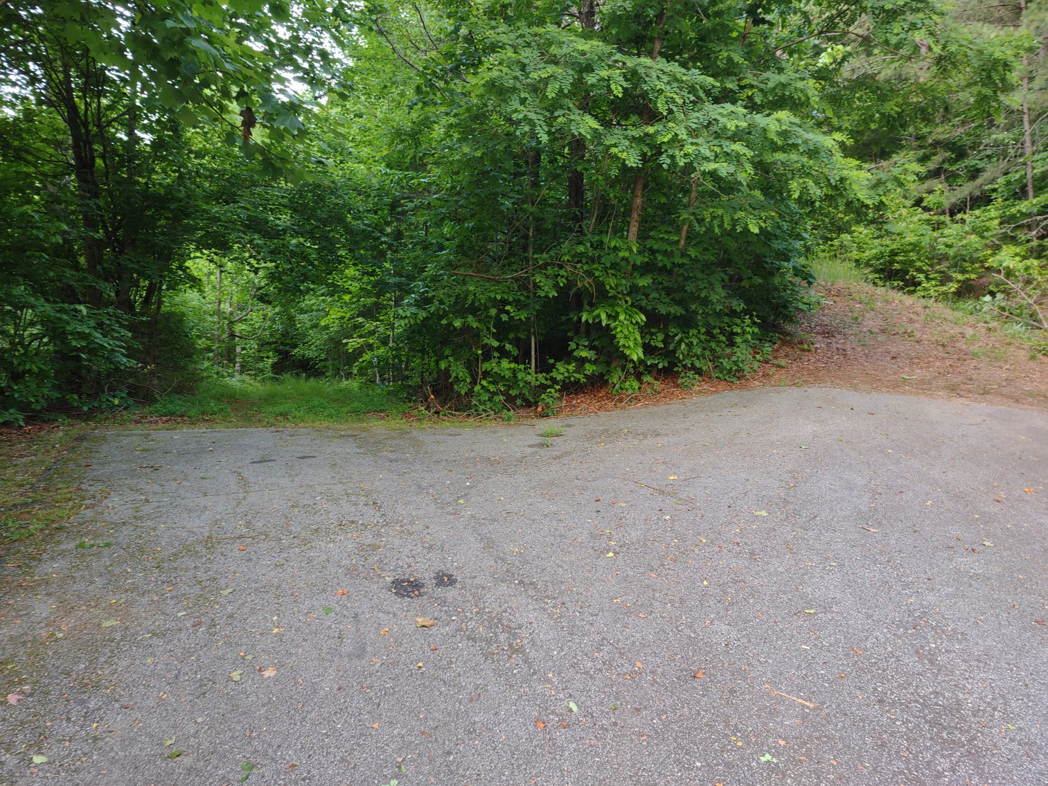 Image for Otto, NC: 10.5± Mountaintop Acres in Heritage Mountain Estates, Otto, NC 28763 (Macon County)