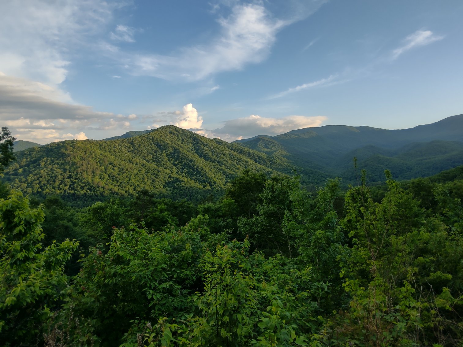 Image for Otto, NC: 10.5± Mountaintop Acres in Heritage Mountain Estates, Otto, NC 28763 (Macon County)