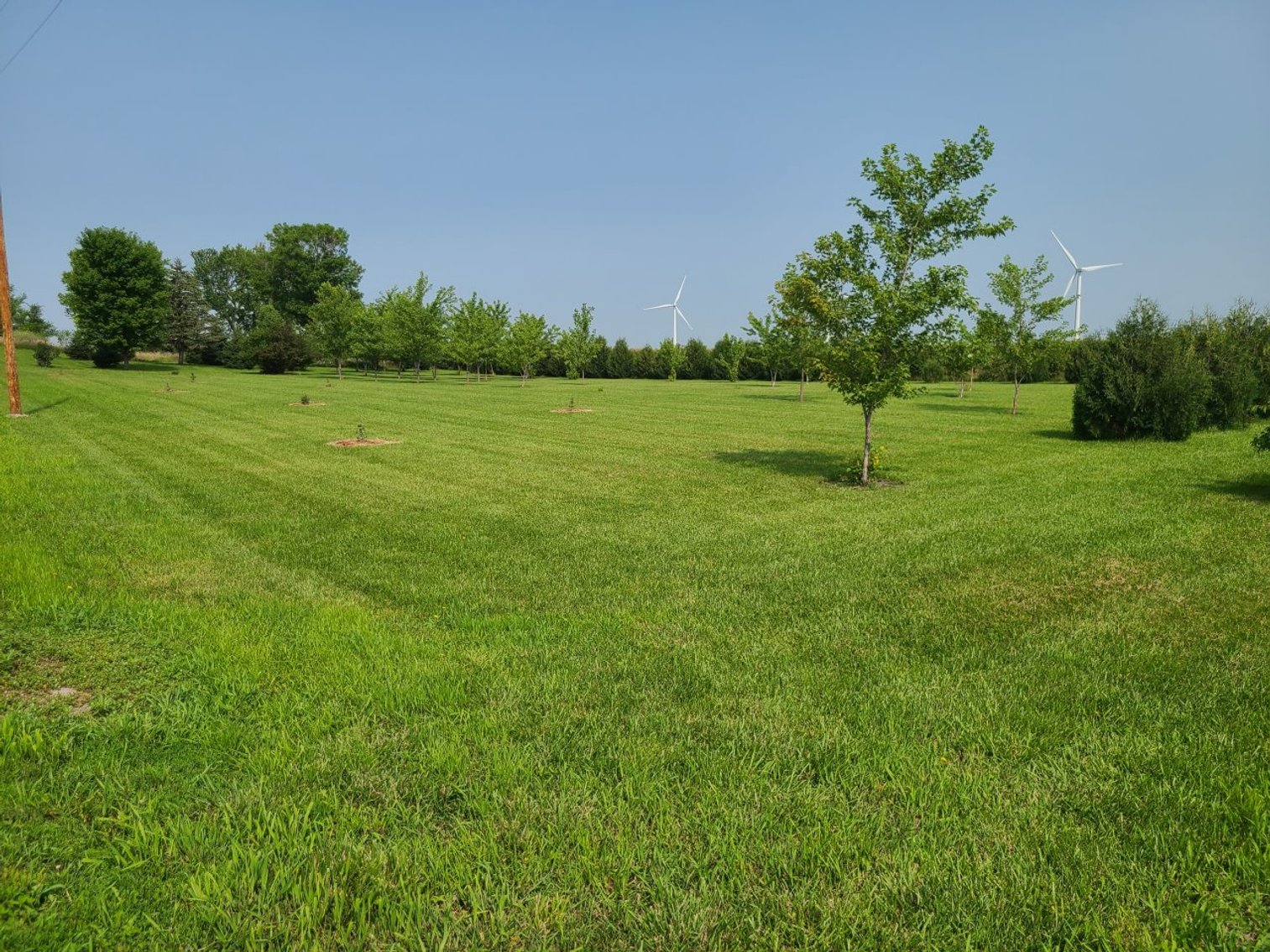 Image for 63391 160th Avenue, Fonda!