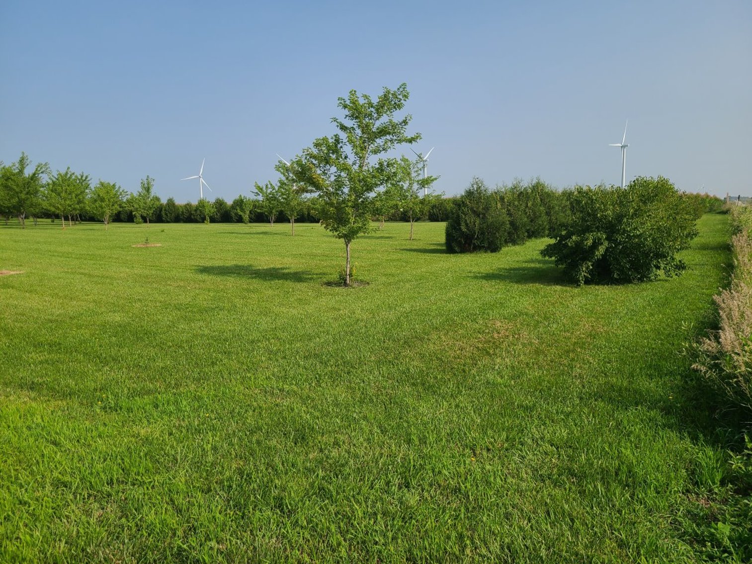 Image for 63391 160th Avenue, Fonda!