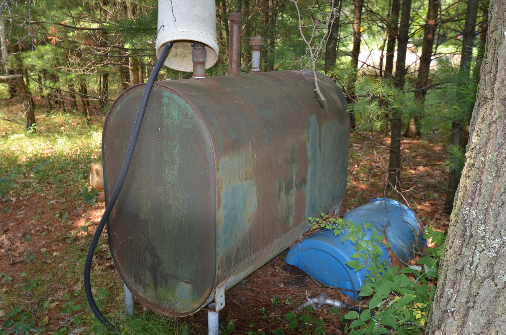 Image for William & Barbara Bailey Estate Auction