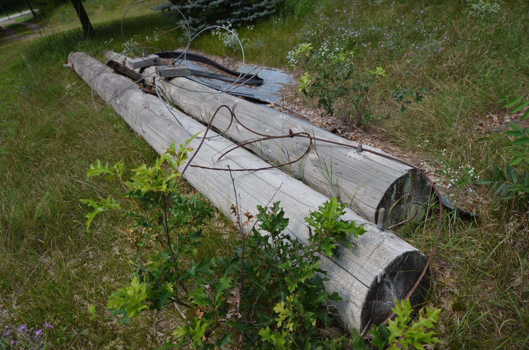 Image for William & Barbara Bailey Estate Auction