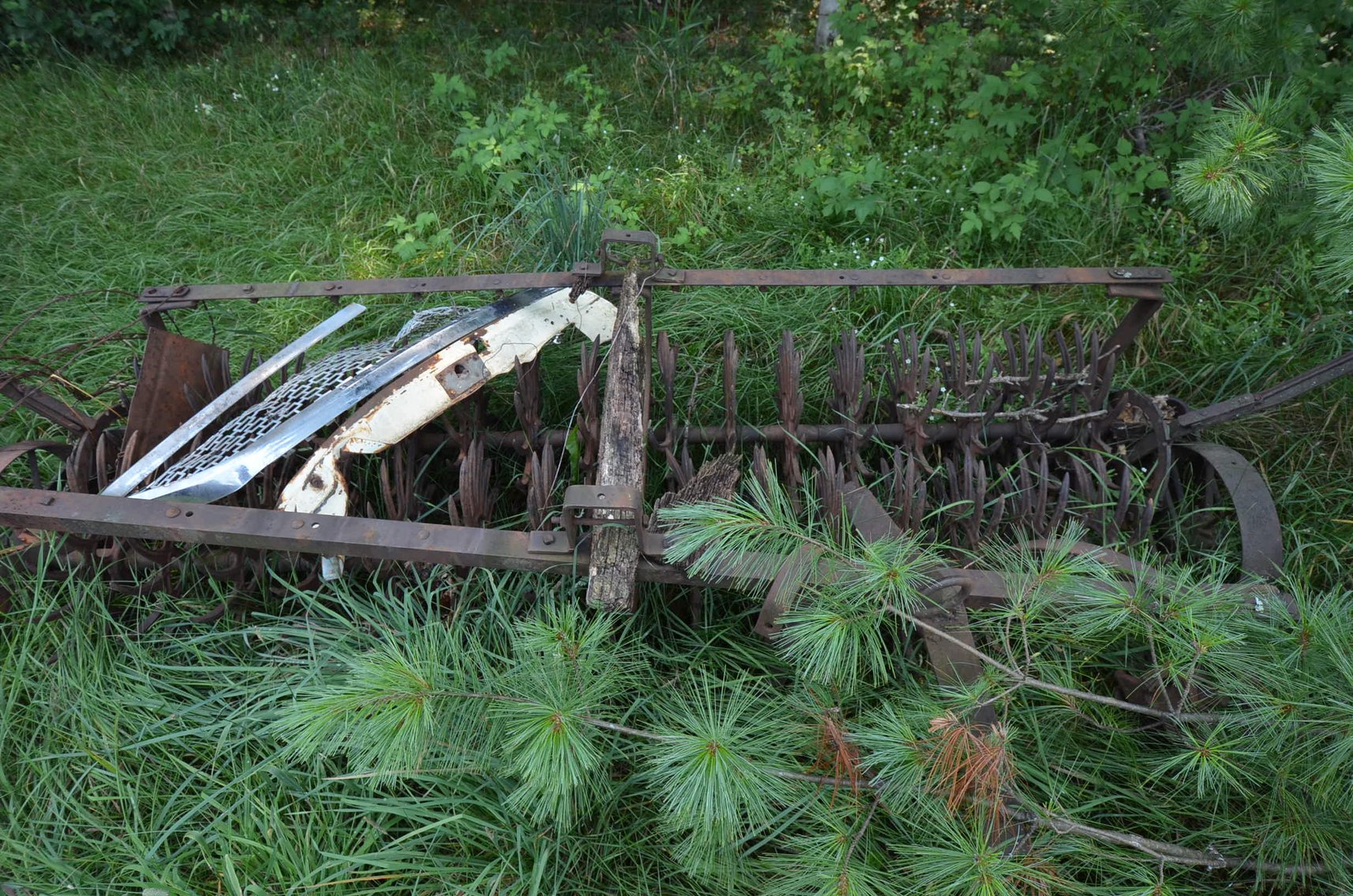 Image for William & Barbara Bailey Estate Auction