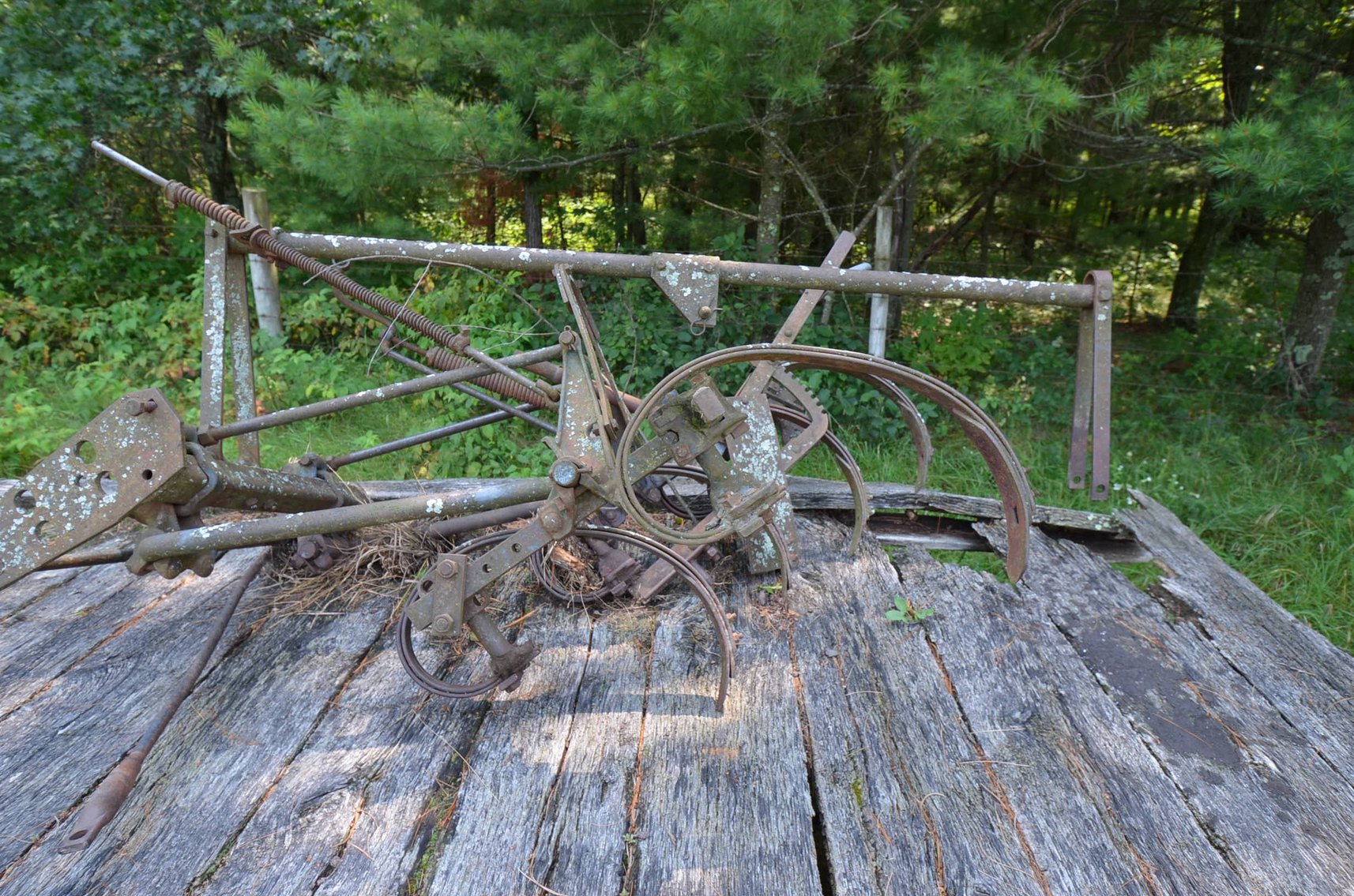 Image for William & Barbara Bailey Estate Auction