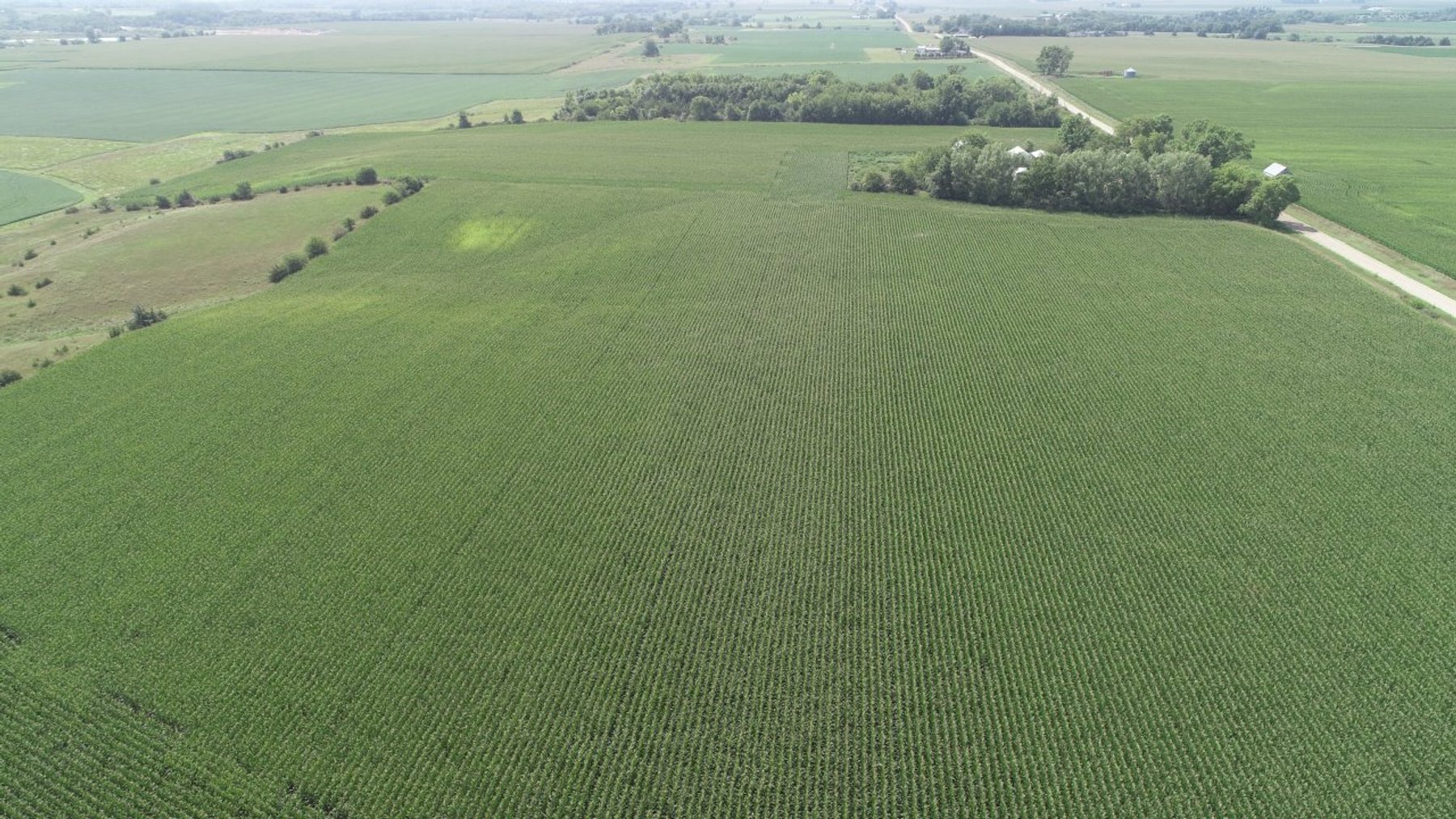 Image for 10142 Ranch Ave., Lake City!