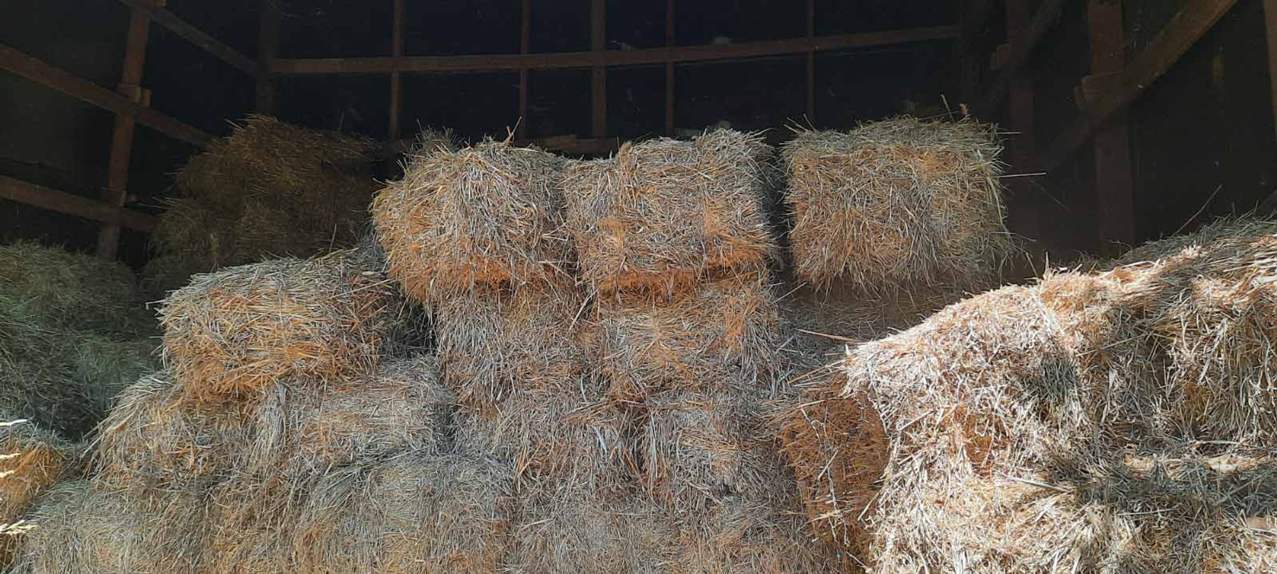 Image for Farm Equipment Auction