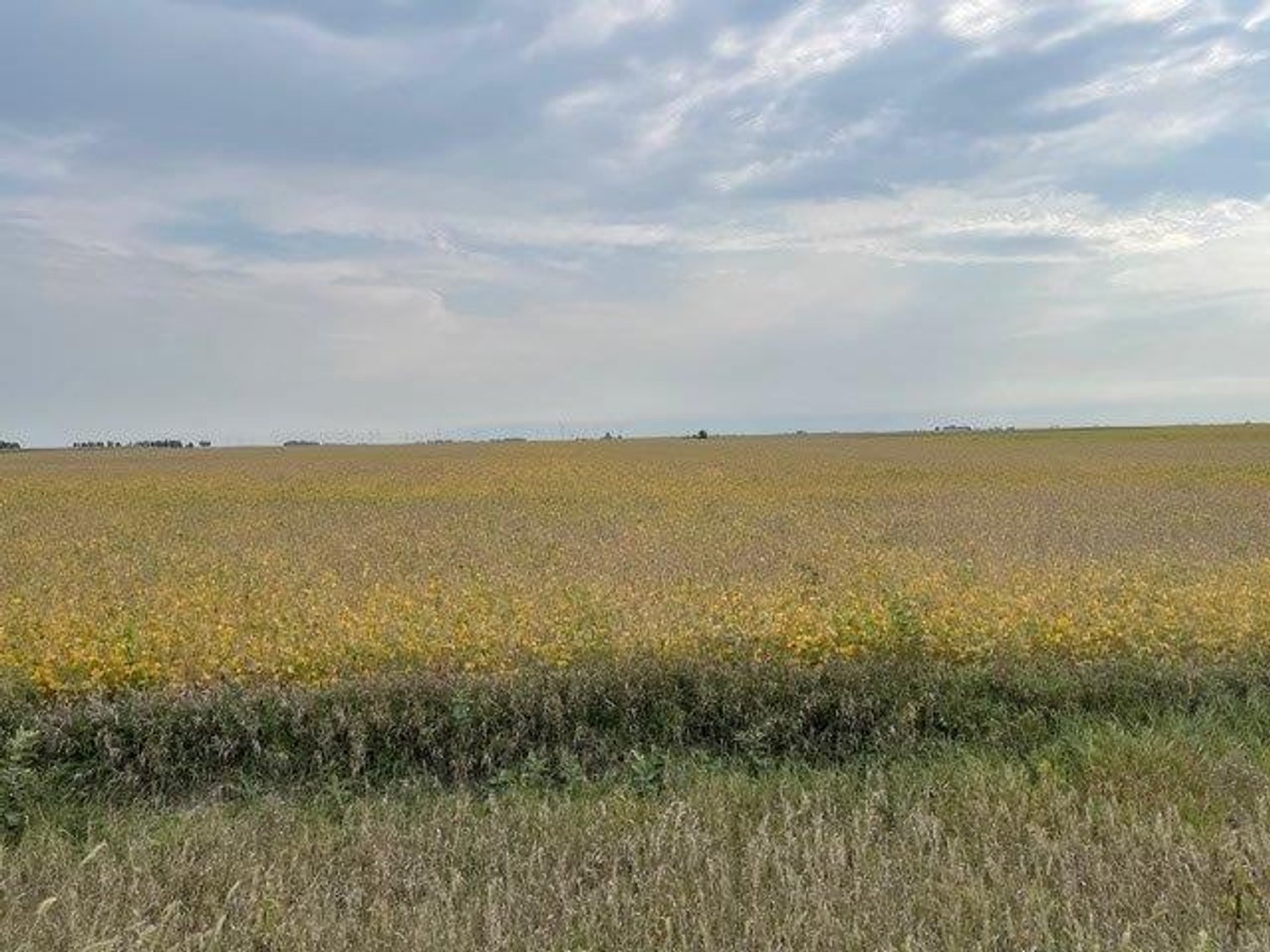 Image for Webster & Calhoun County, IA Land Auction