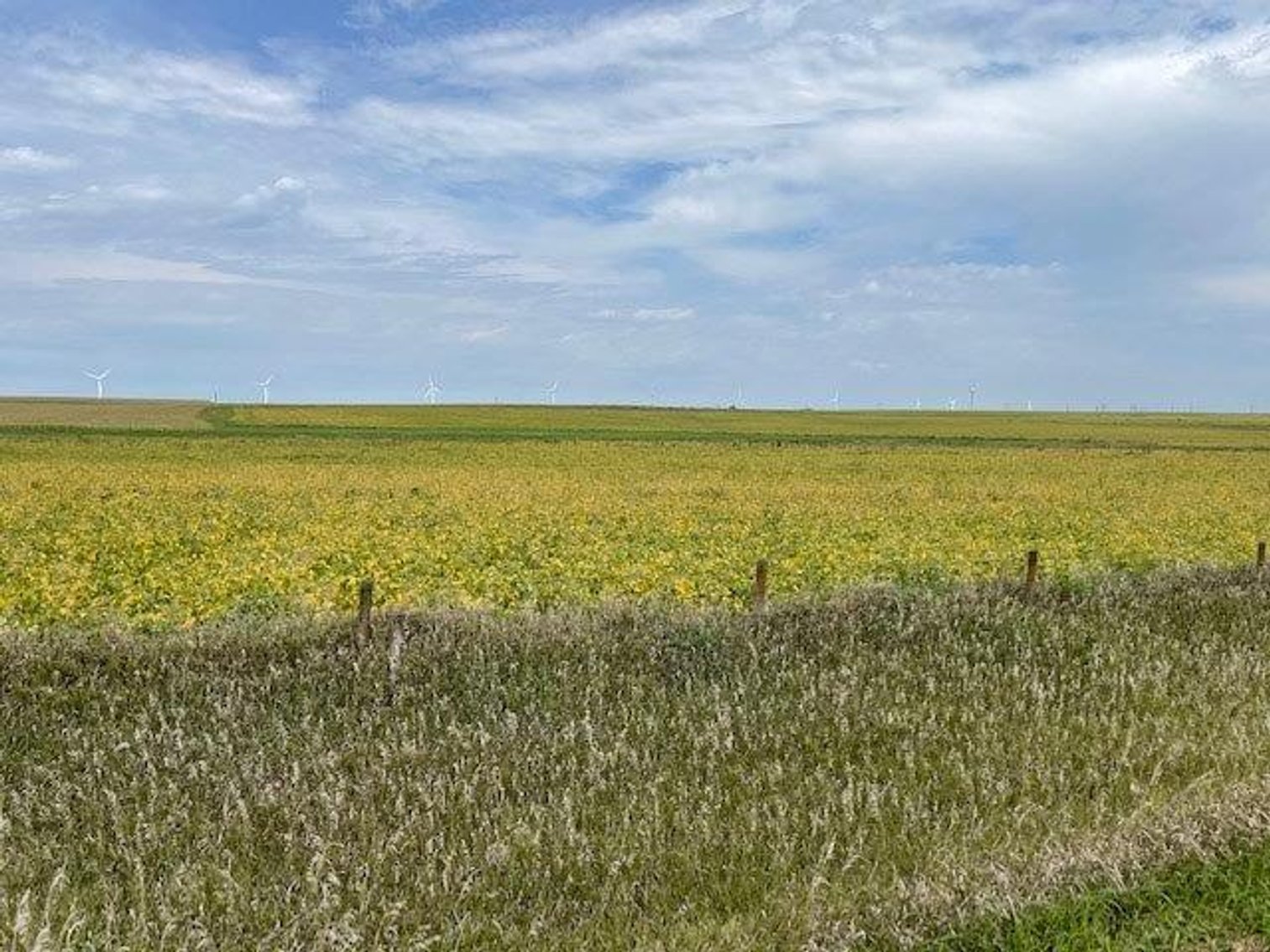 Image for Webster & Calhoun County, IA Land Auction