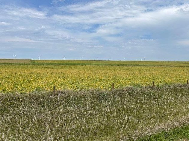 Image for Webster & Calhoun County, IA Land Auction