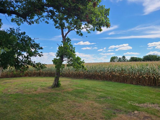 Image for Buena Vista & Sac County Land Auction!