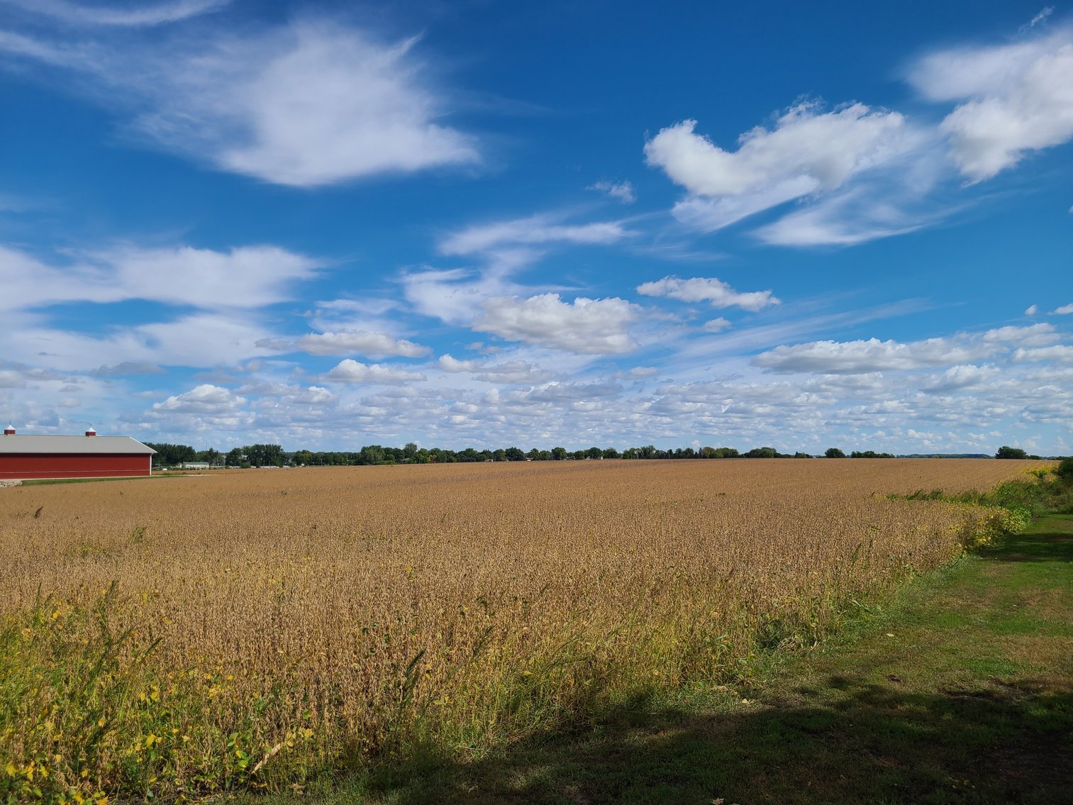 Image for Buena Vista & Sac County Land Auction!