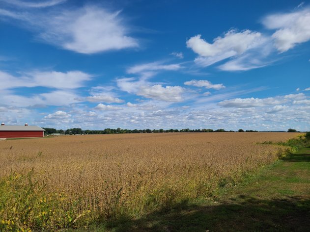 Image for Buena Vista & Sac County Land Auction!