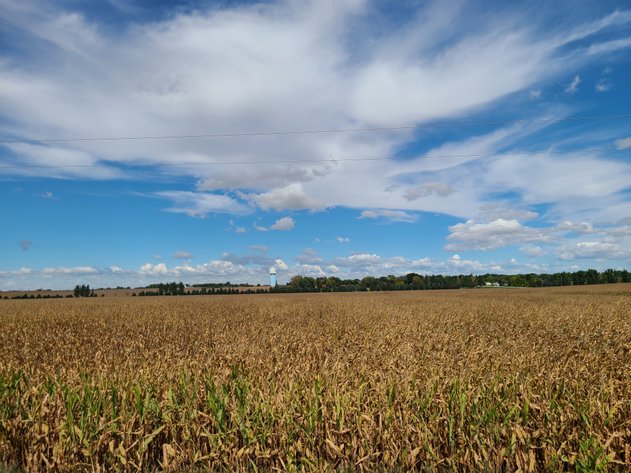 Image for Buena Vista & Sac County Land Auction!