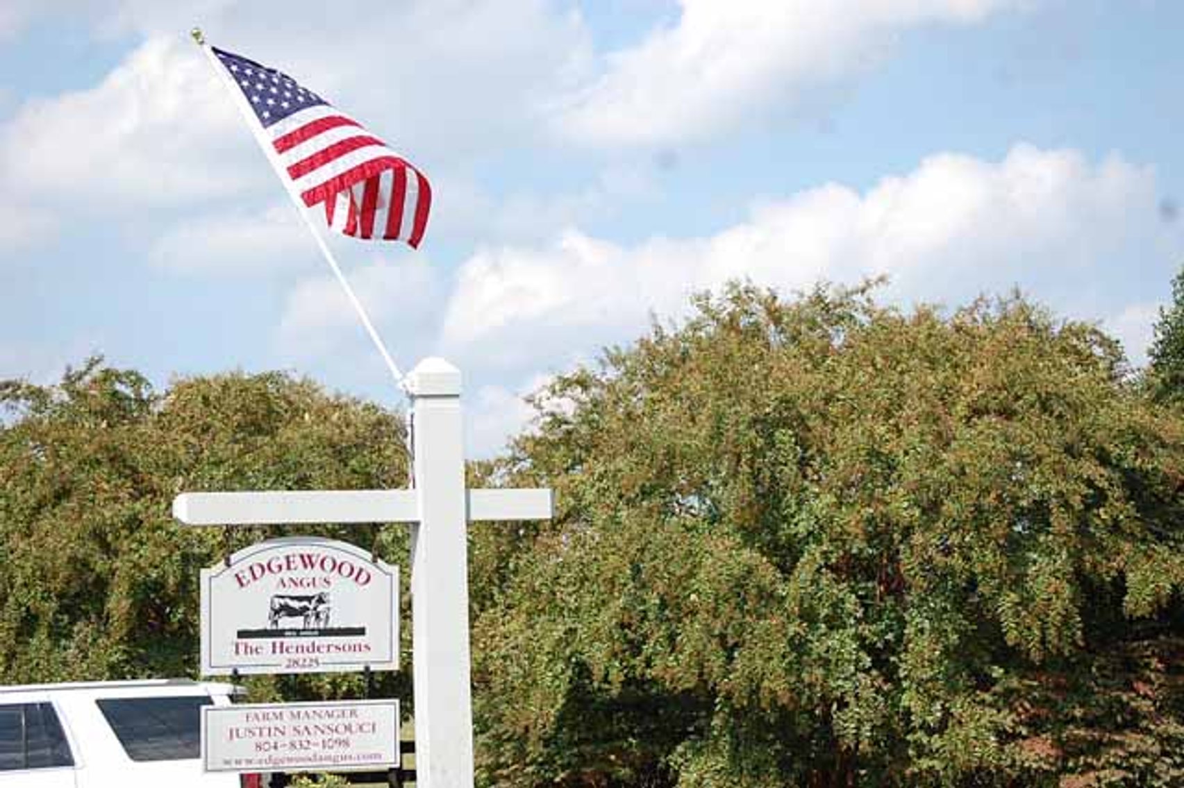 Image for Edgewood Performance Tested Bull Sale