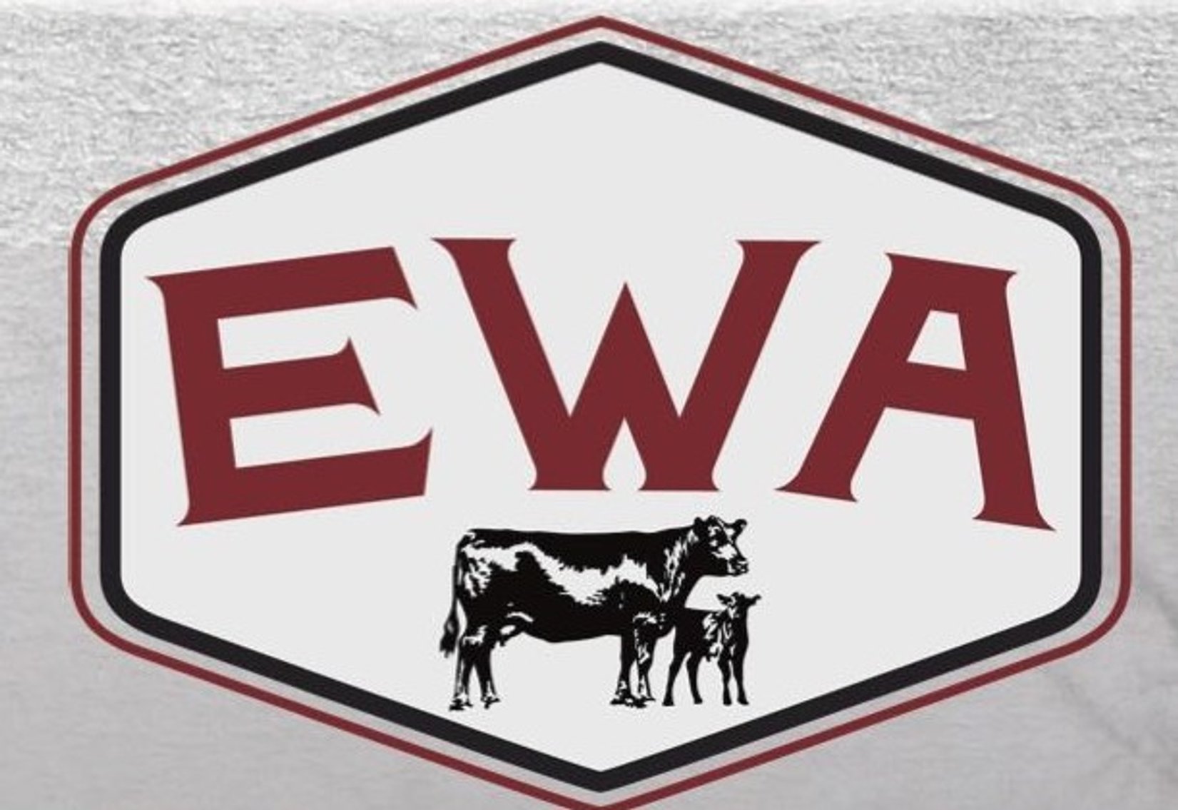 Image for Edgewood Performance Tested Bull Sale