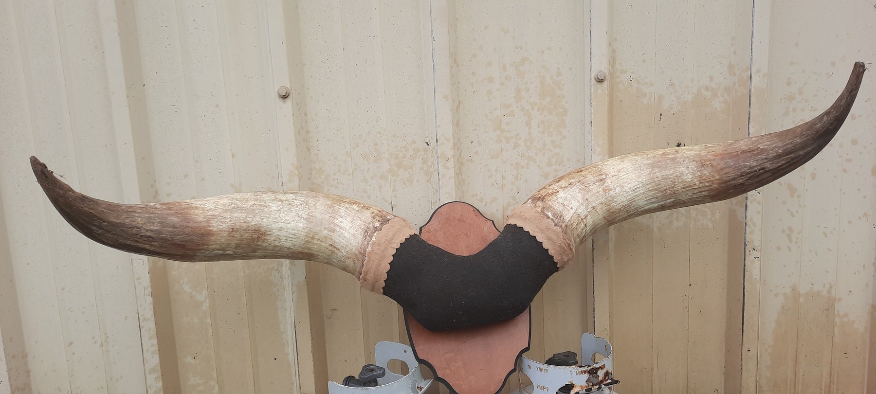 Image for Michael Acree Estate (Dec). & Others