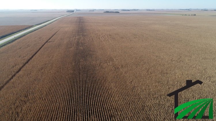 Image for Pocahontas County, IA Farmland Auction!