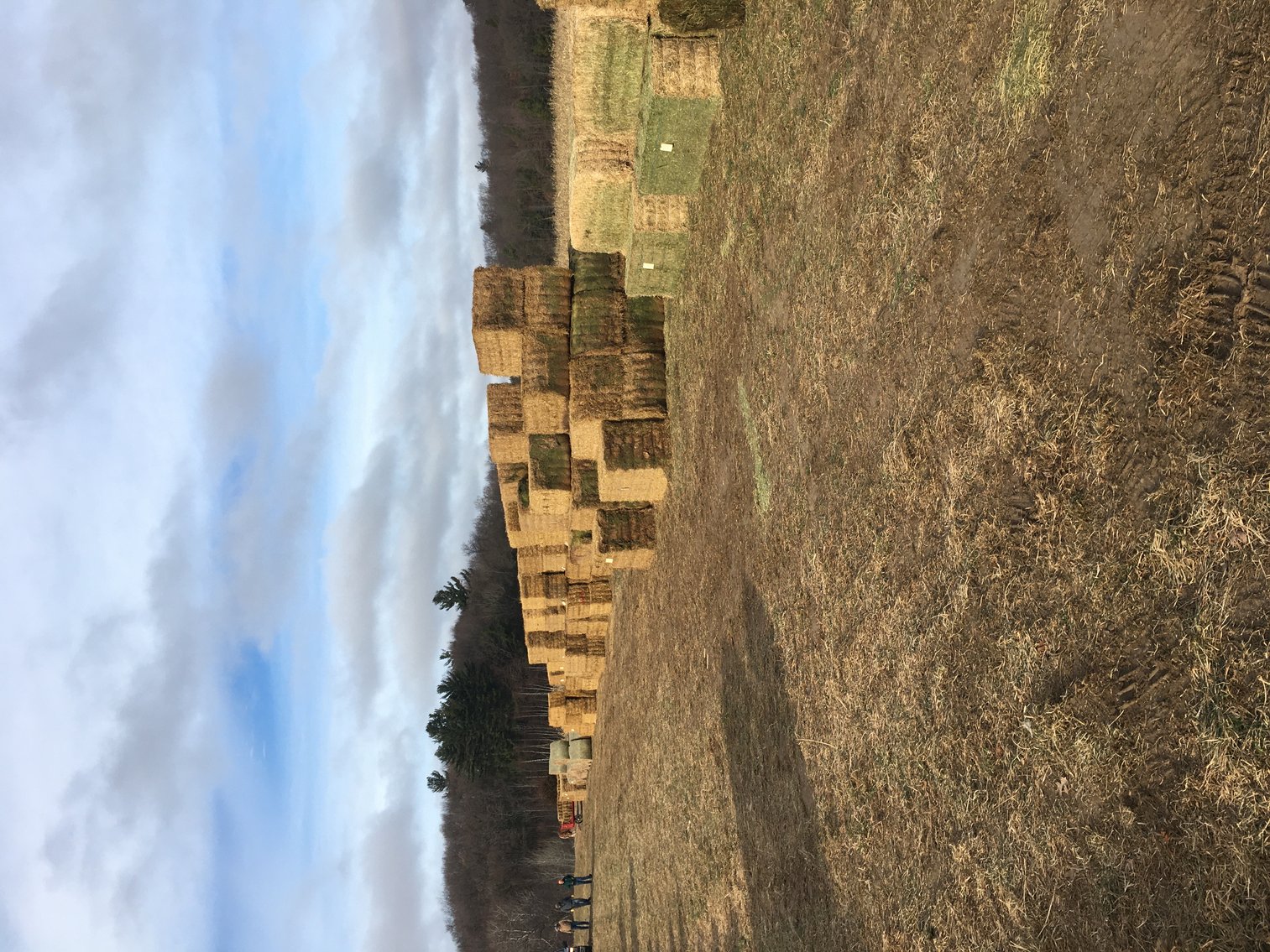 Image for DECEMBER HAY AND FIREWOOD AUCTION