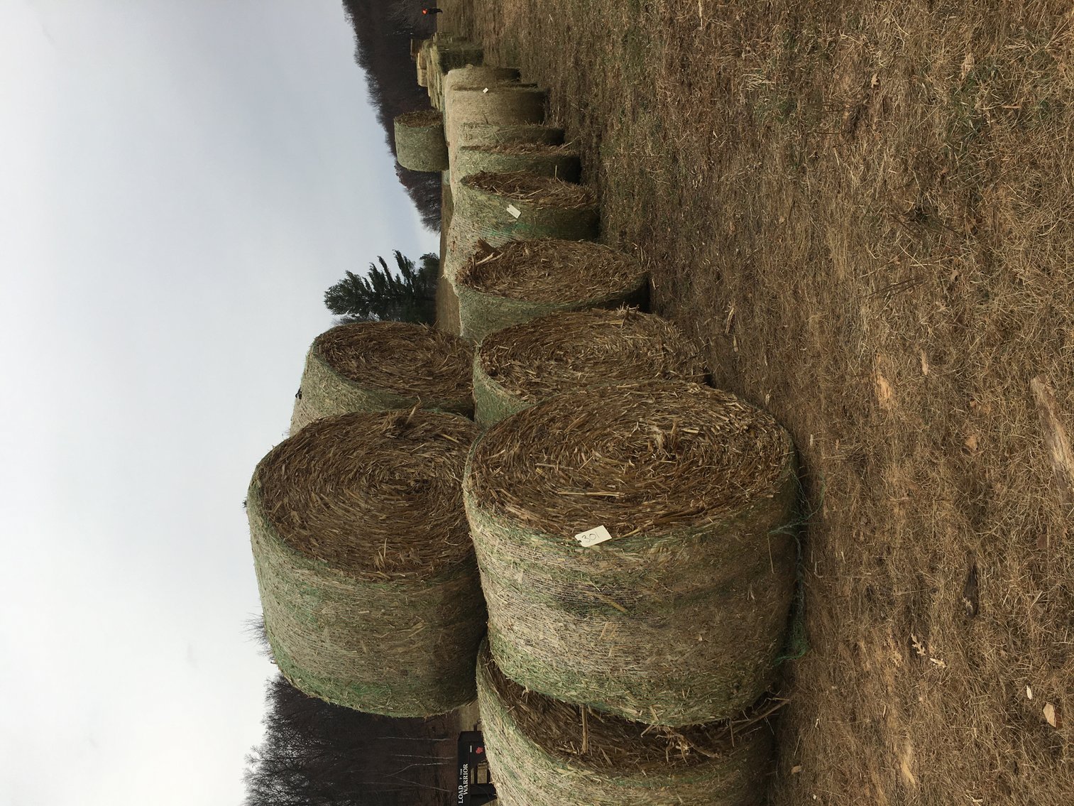 Image for FEBRUARY HAY AND FIREWOOD AUCTION