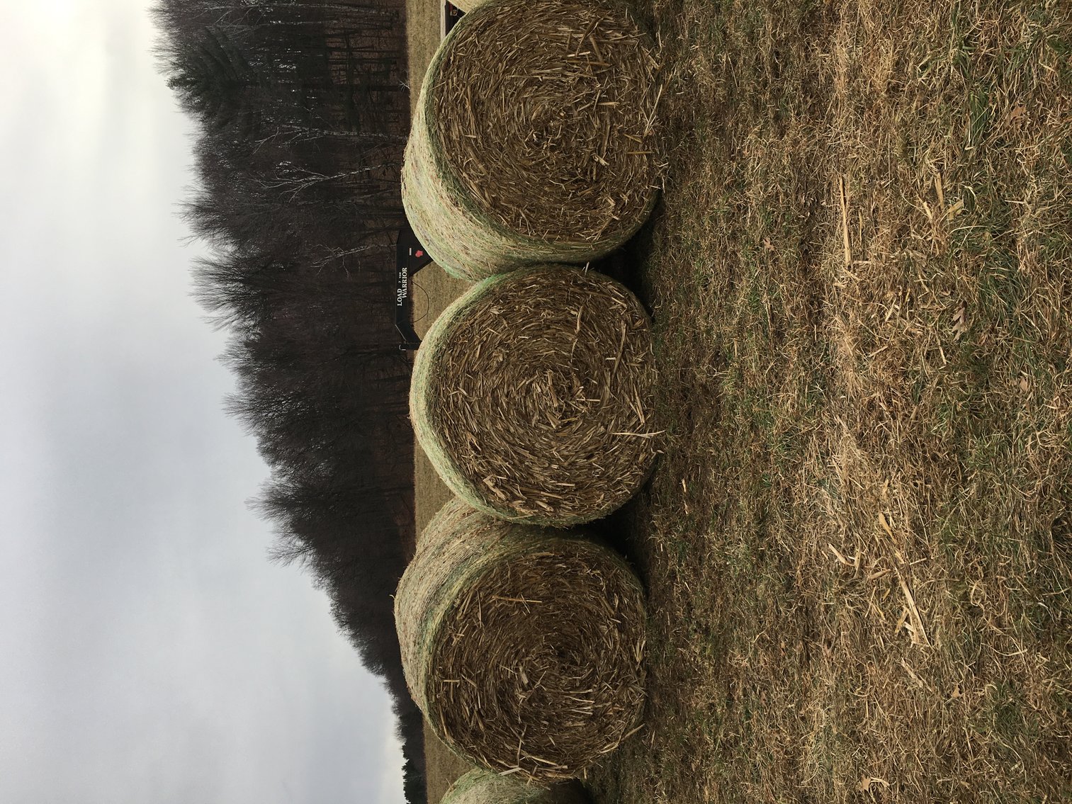Image for MARCH HAY AND FIREWOOD AUCTION