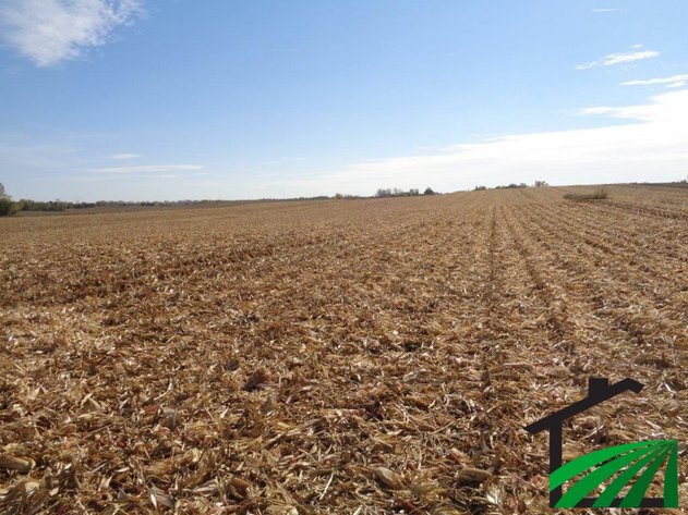 Image for Webster County, IA Farmland Auction