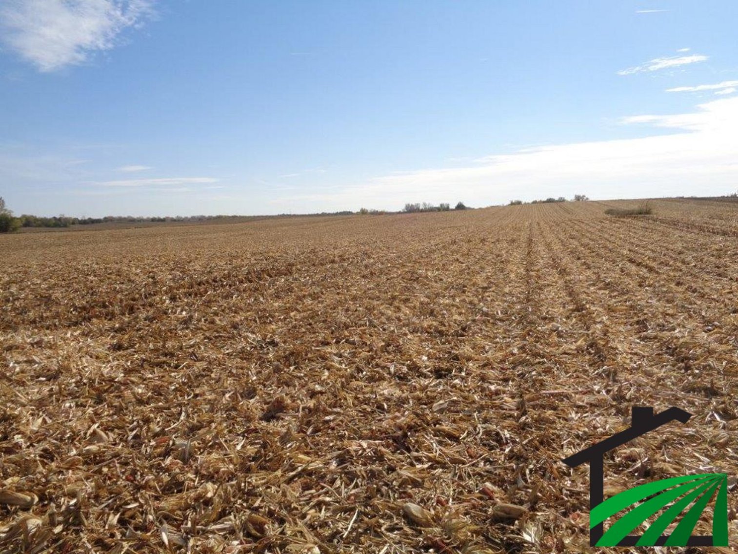 Image for Webster County, IA Farmland Auction