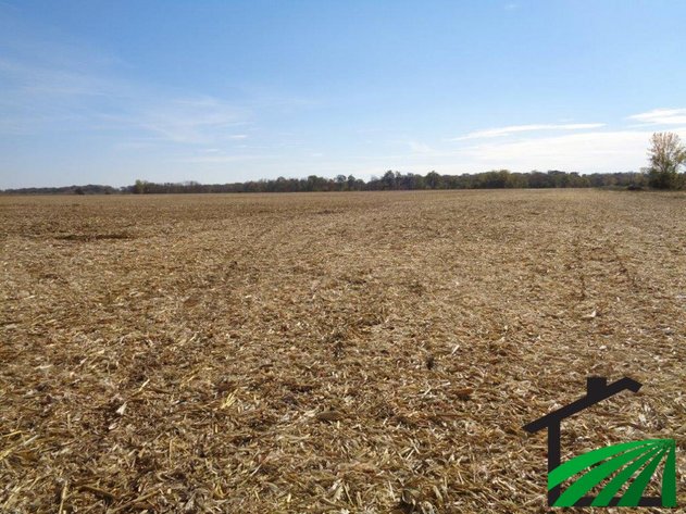 Image for Webster County, IA Farmland Auction