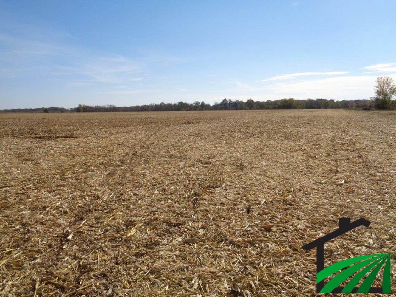 Image for Webster County, IA Farmland Auction