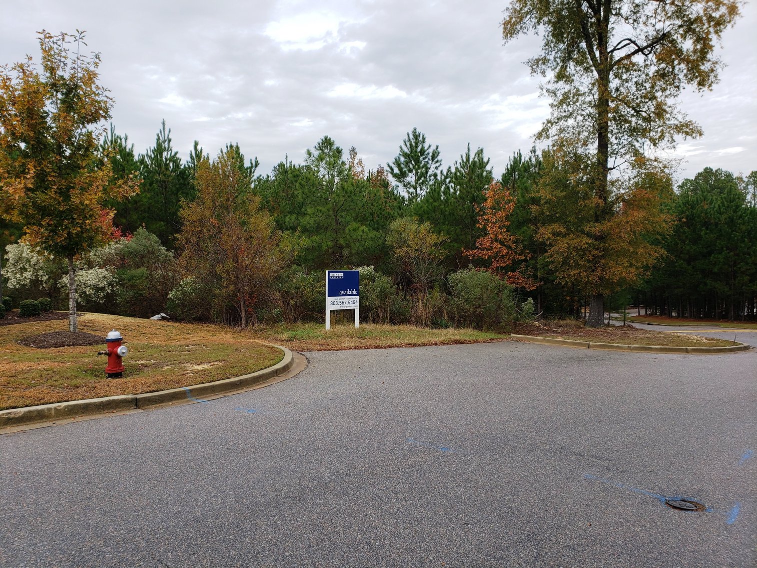 Image for Irmo, SC: 3 Commercial Lots Totaling 2 Acres at 7448 Broad River Rd, Irmo, SC 29063 (Richland County)
