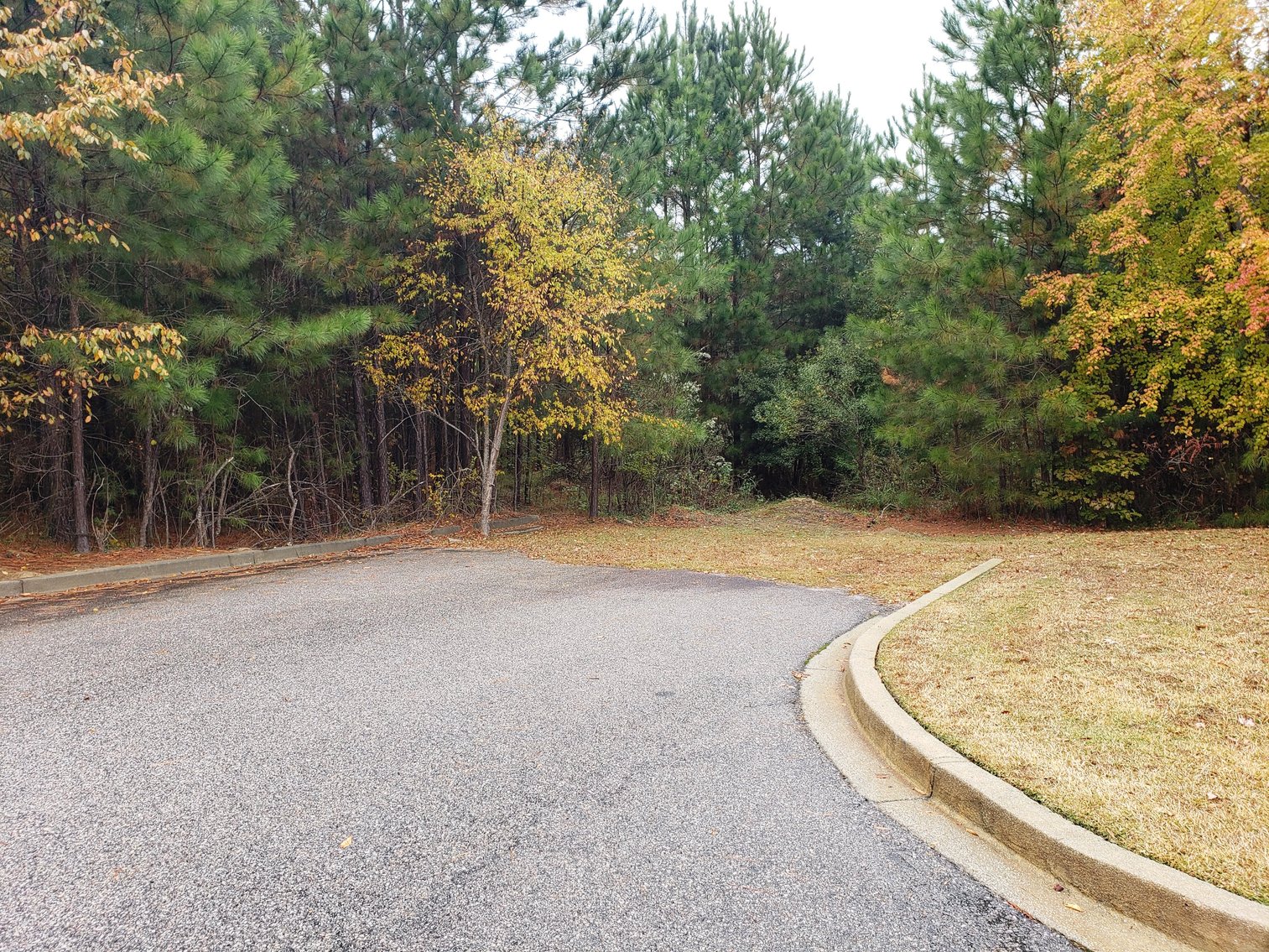 Image for Irmo, SC: 3 Commercial Lots Totaling 2 Acres at 7448 Broad River Rd, Irmo, SC 29063 (Richland County)