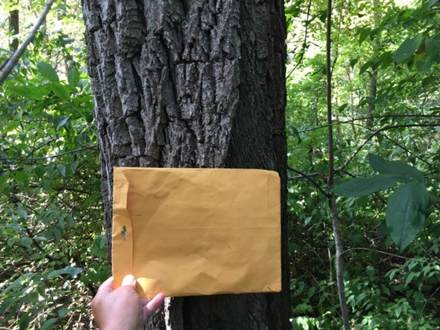 Image for Peoria County, IL: 8.5 Acre Multifamily Tract and 1± Acre Tract Selling Together