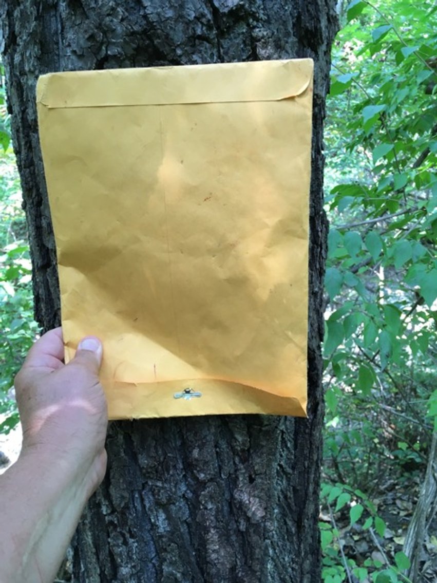 Image for Peoria County, IL: 8.5 Acre Multifamily Tract and 1± Acre Tract Selling Together