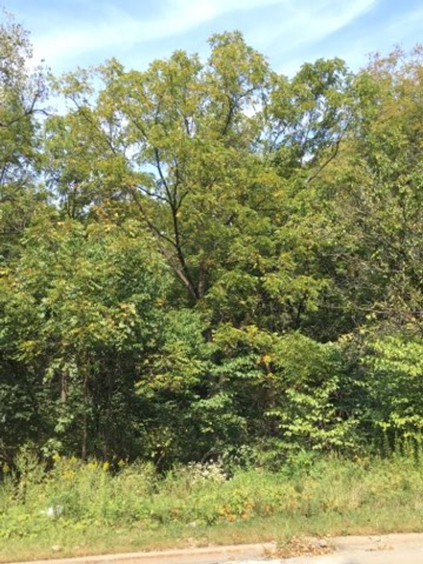 Image for Peoria County, IL: 8.5 Acre Multifamily Tract and 1± Acre Tract Selling Together