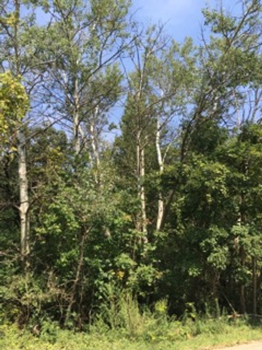 Image for Peoria County, IL: 8.5 Acre Multifamily Tract and 1± Acre Tract Selling Together