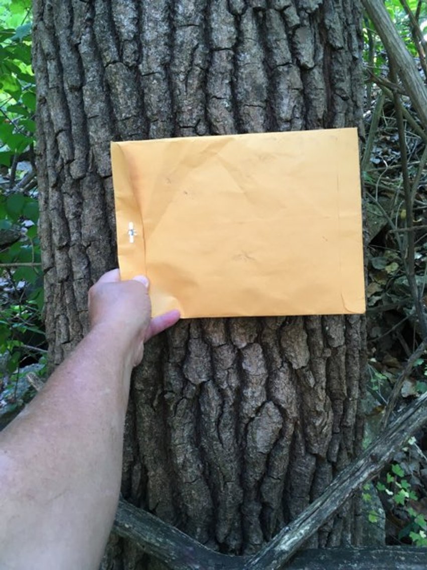 Image for Peoria County, IL: 8.5 Acre Multifamily Tract and 1± Acre Tract Selling Together