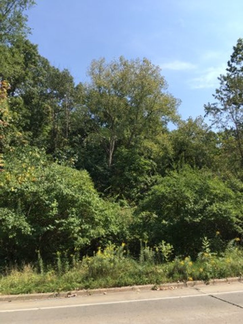 Image for Peoria County, IL: 8.5 Acre Multifamily Tract and 1± Acre Tract Selling Together