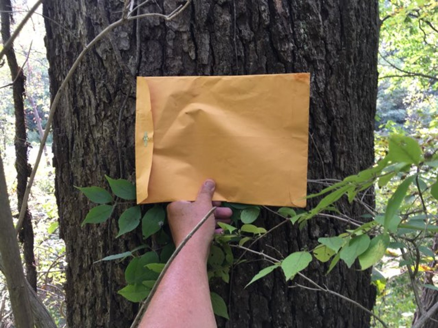 Image for Peoria County, IL: 8.5 Acre Multifamily Tract and 1± Acre Tract Selling Together