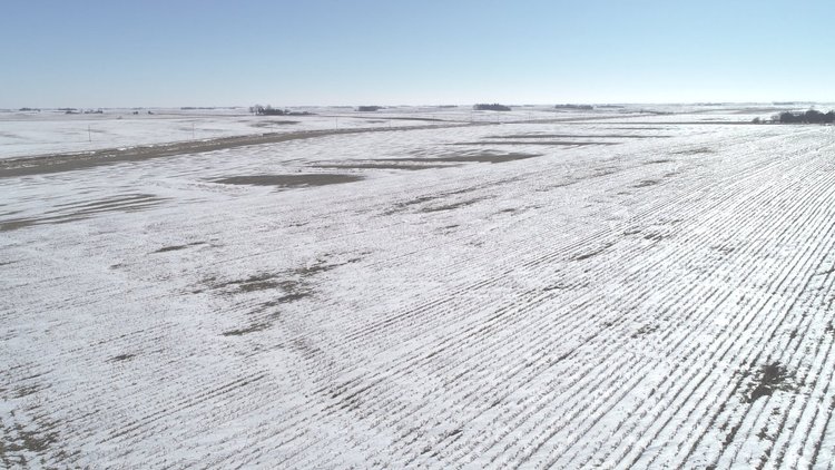 Image for Pocahontas County Land Auction!