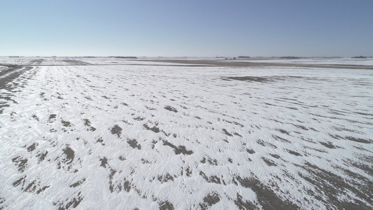 Image for Pocahontas County Land Auction!