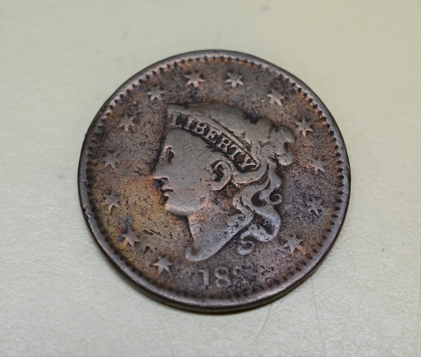 Image for HUNTING BLIND, COINS, WELDERS, LAMPS, AND MORE!