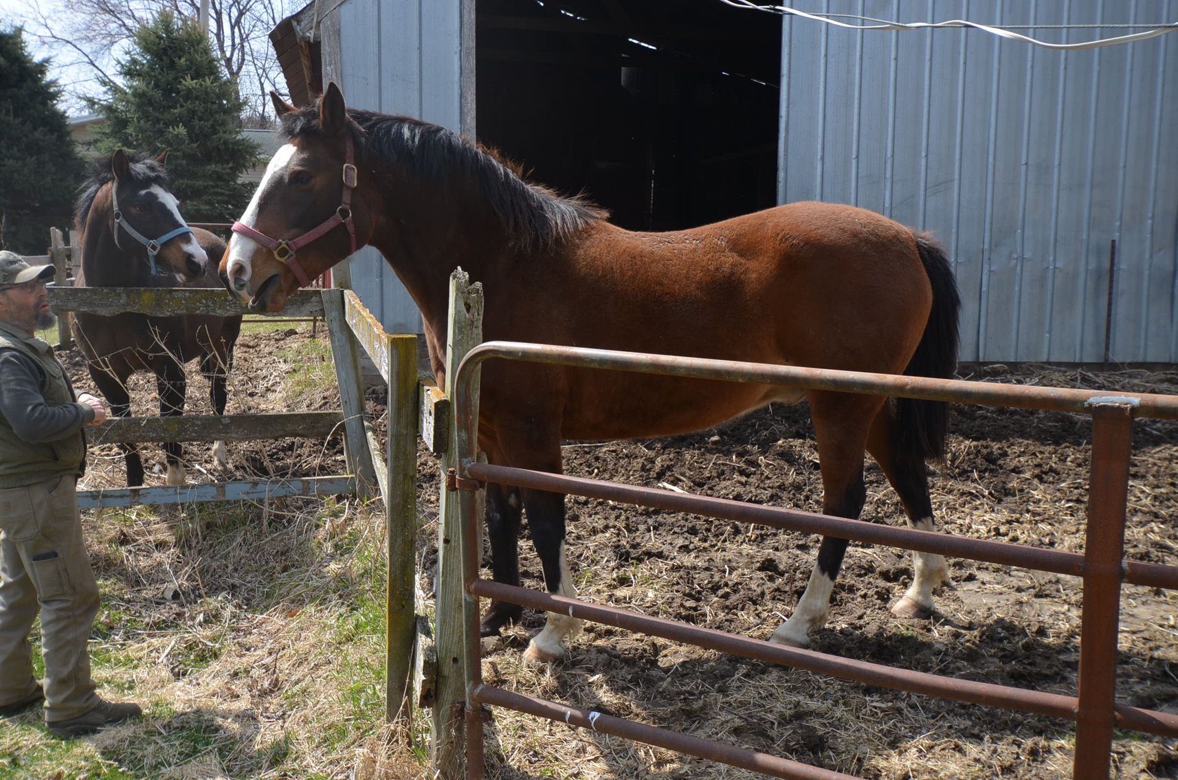 Image for FARM EQUIPMENT, TRACTORS, LAWN&GARDEN, AND HOUSEHOLD ITEMS