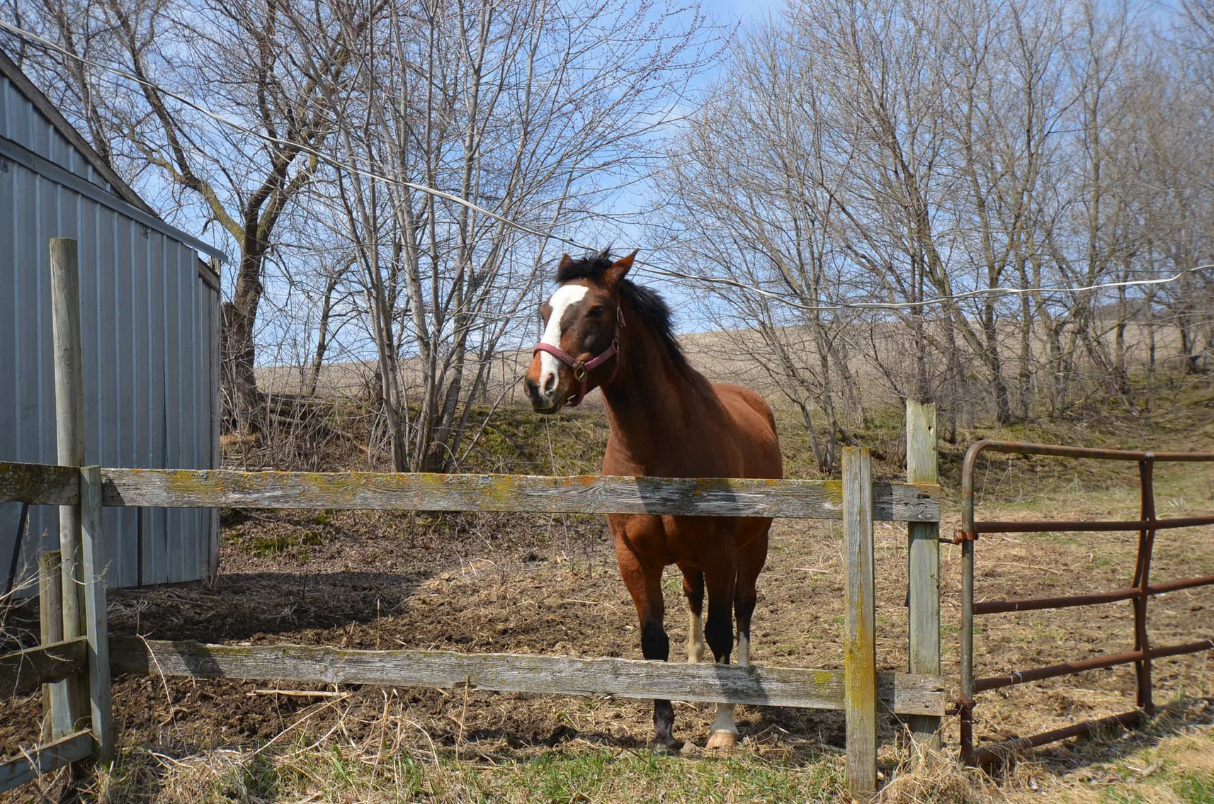 Image for FARM EQUIPMENT, TRACTORS, LAWN&GARDEN, AND HOUSEHOLD ITEMS