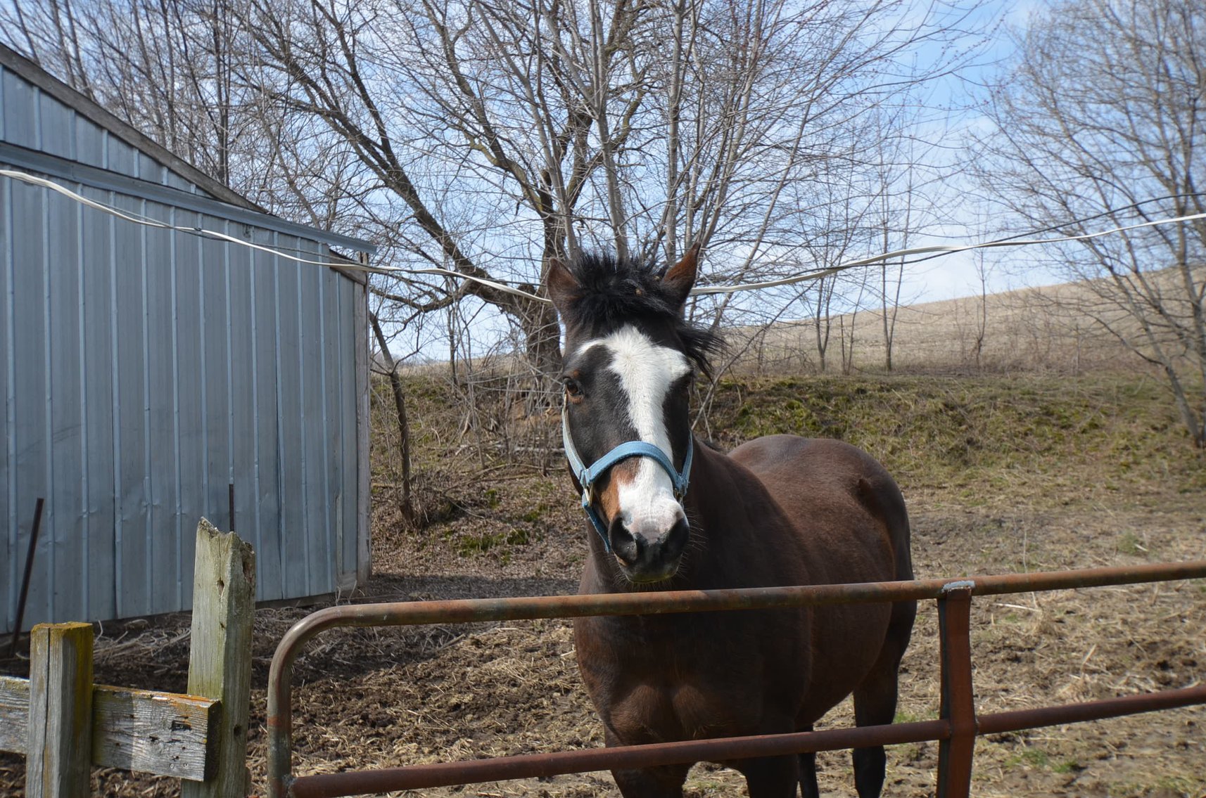 Image for FARM EQUIPMENT, TRACTORS, LAWN&GARDEN, AND HOUSEHOLD ITEMS