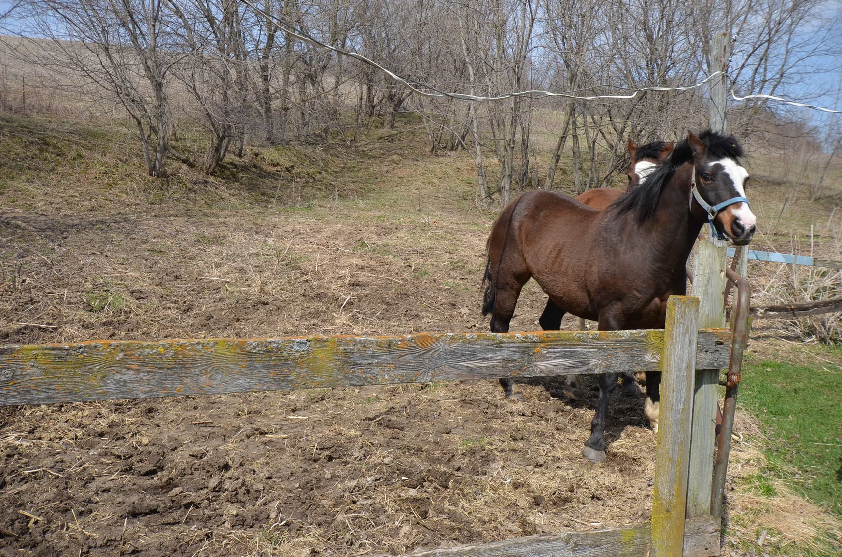 Image for FARM EQUIPMENT, TRACTORS, LAWN&GARDEN, AND HOUSEHOLD ITEMS