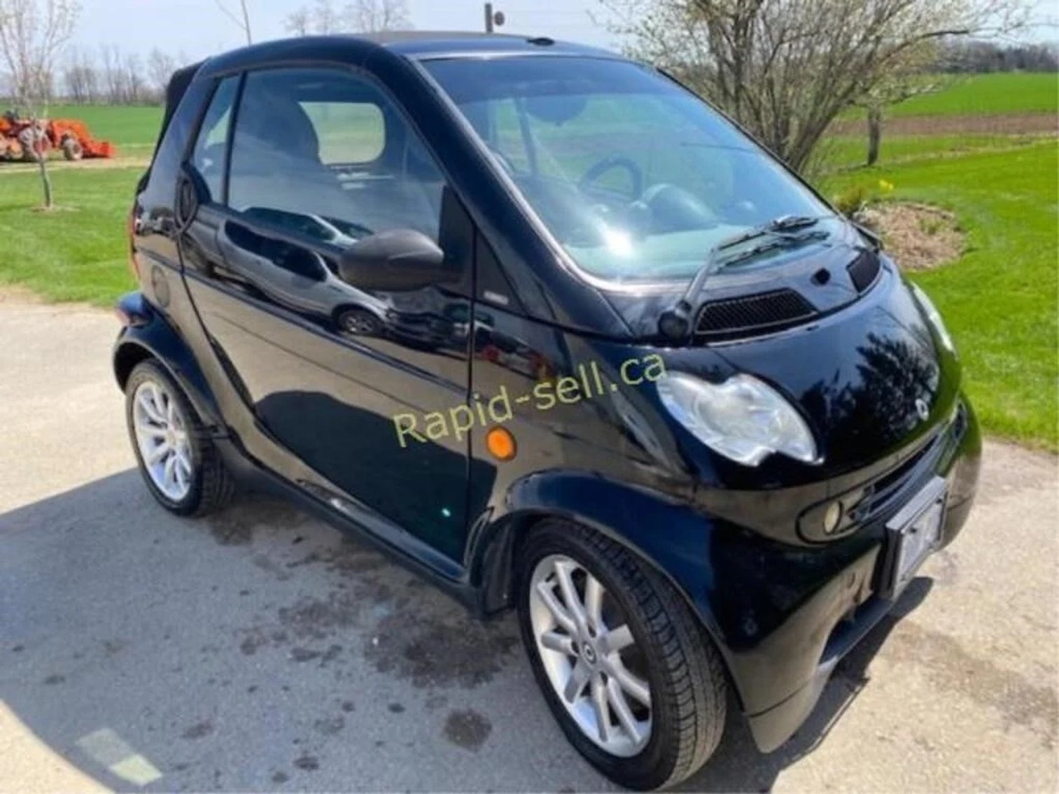 Image for May Multi Consignor Auction - Guelph