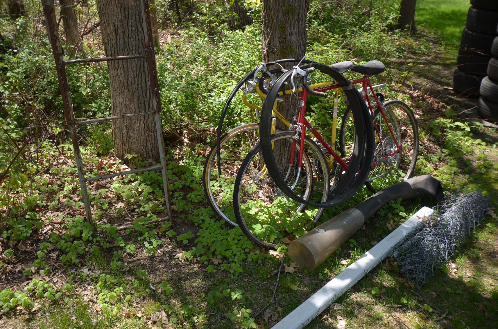 Image for COLLECTIBLES, LAWN&GARDEN, HOUSEHOLD, AND MORE