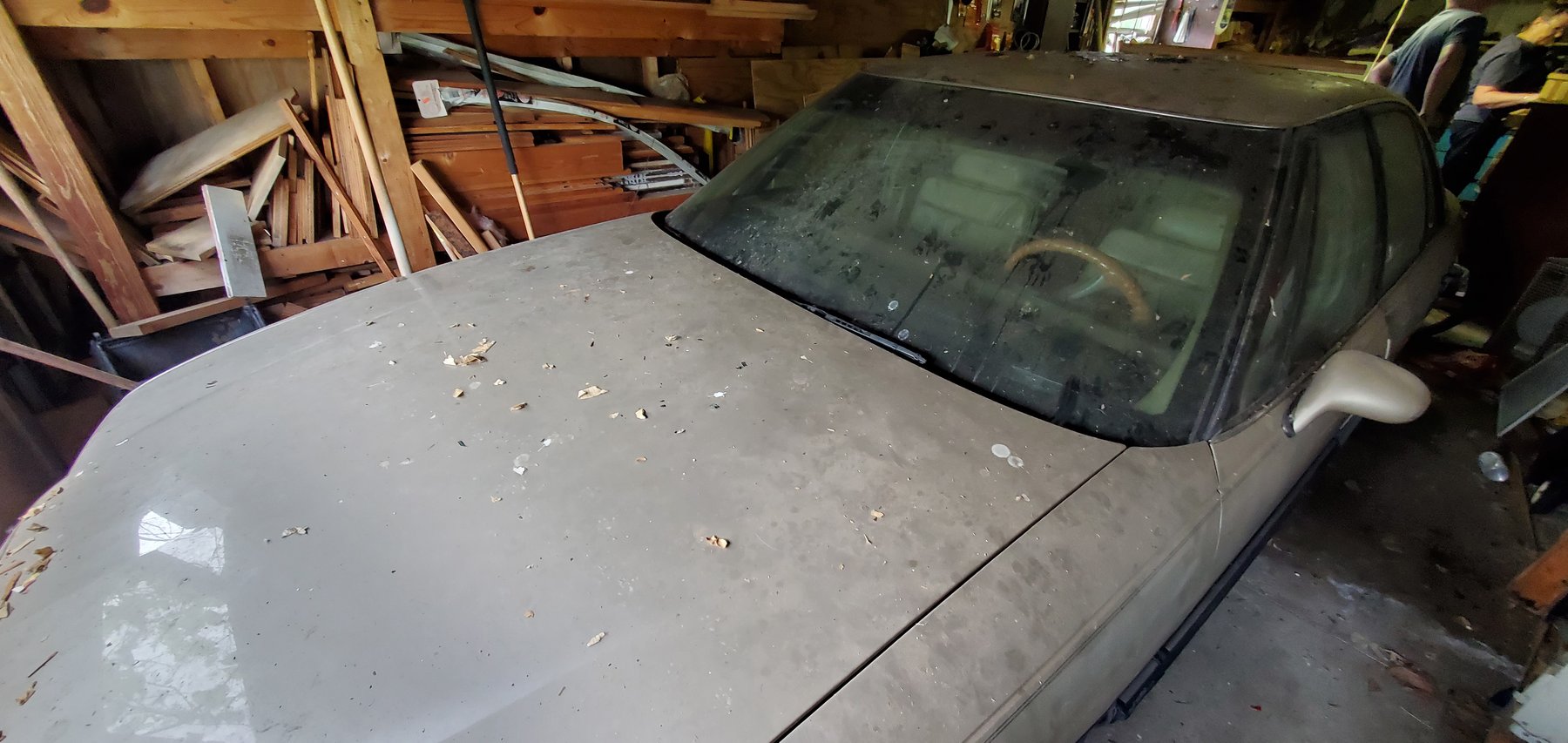 Image for BARN-FIND BUICKS