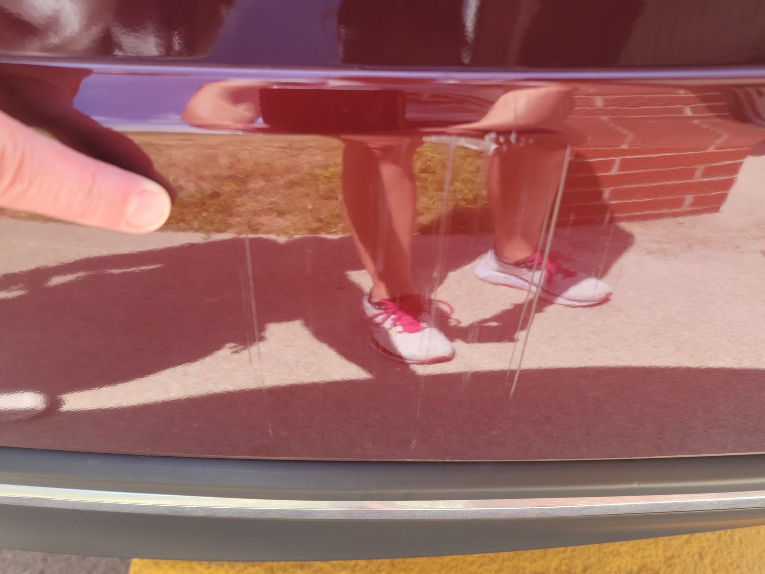 Image for 2017 Toyota Avalon