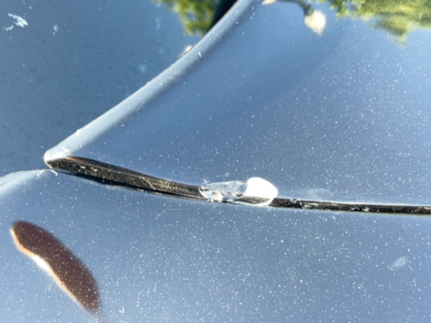 Image for 1979 Chevy Corvette